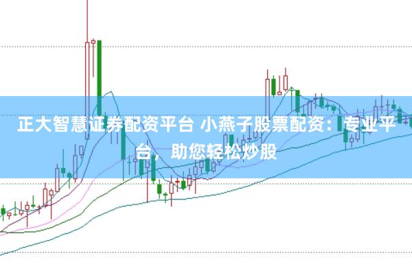 正大智慧证券配资平台 小燕子股票配资：专业平台，助您轻松炒股