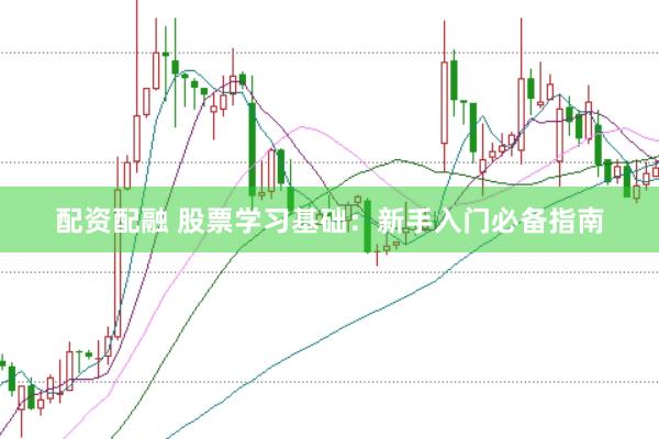 配资配融 股票学习基础：新手入门必备指南
