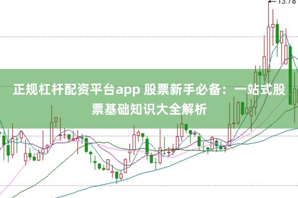 正规杠杆配资平台app 股票新手必备：一站式股票基础知识大全解析